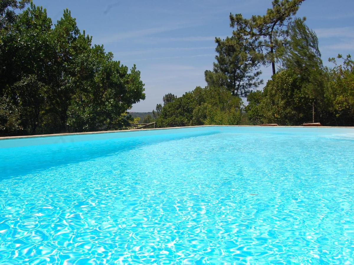 A Perfect Villa With Pool Terrace And Garden アルコバサ エクステリア 写真